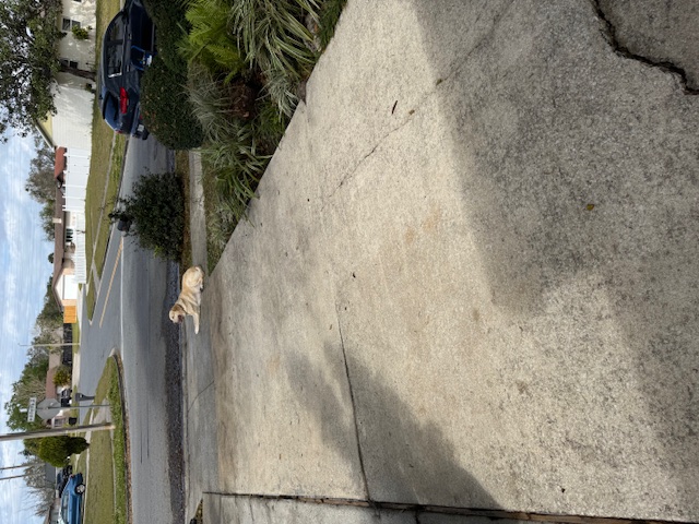 Driveway After