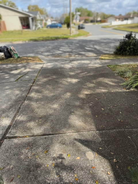 Driveway Before