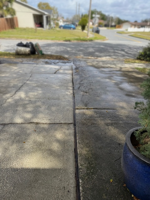 Driveway During